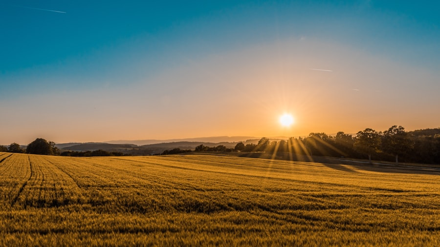 Prostrana zelena površina u prirodi